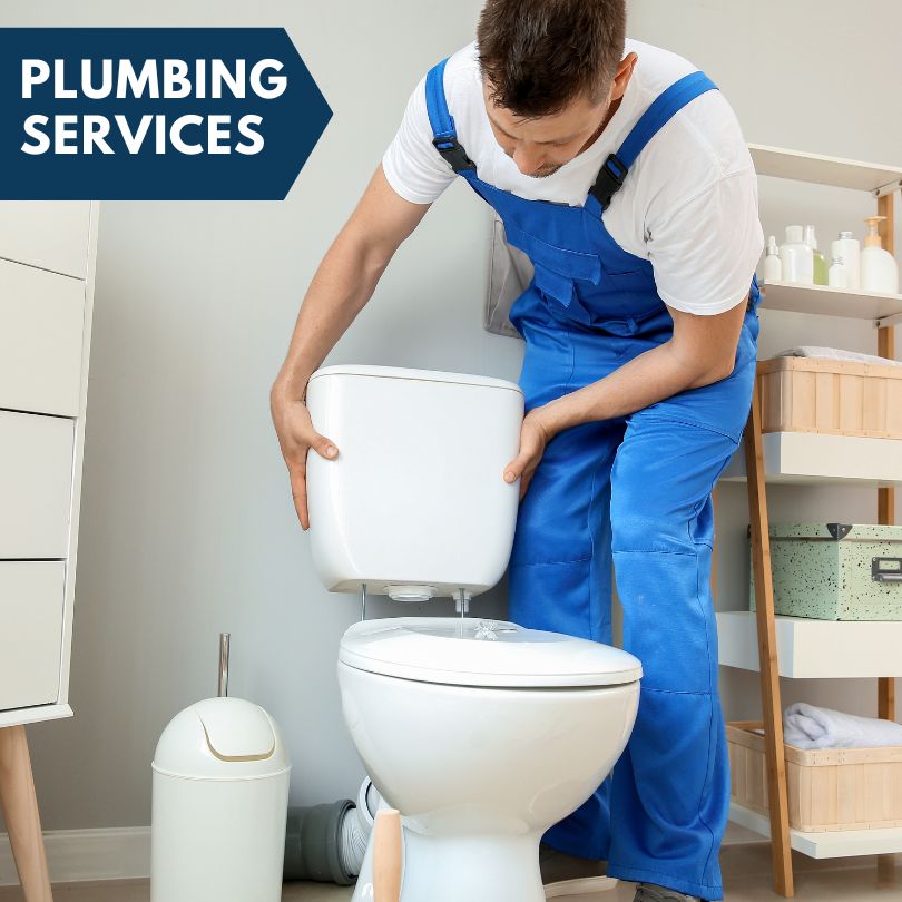 Plumbing Company in Lake City, MI